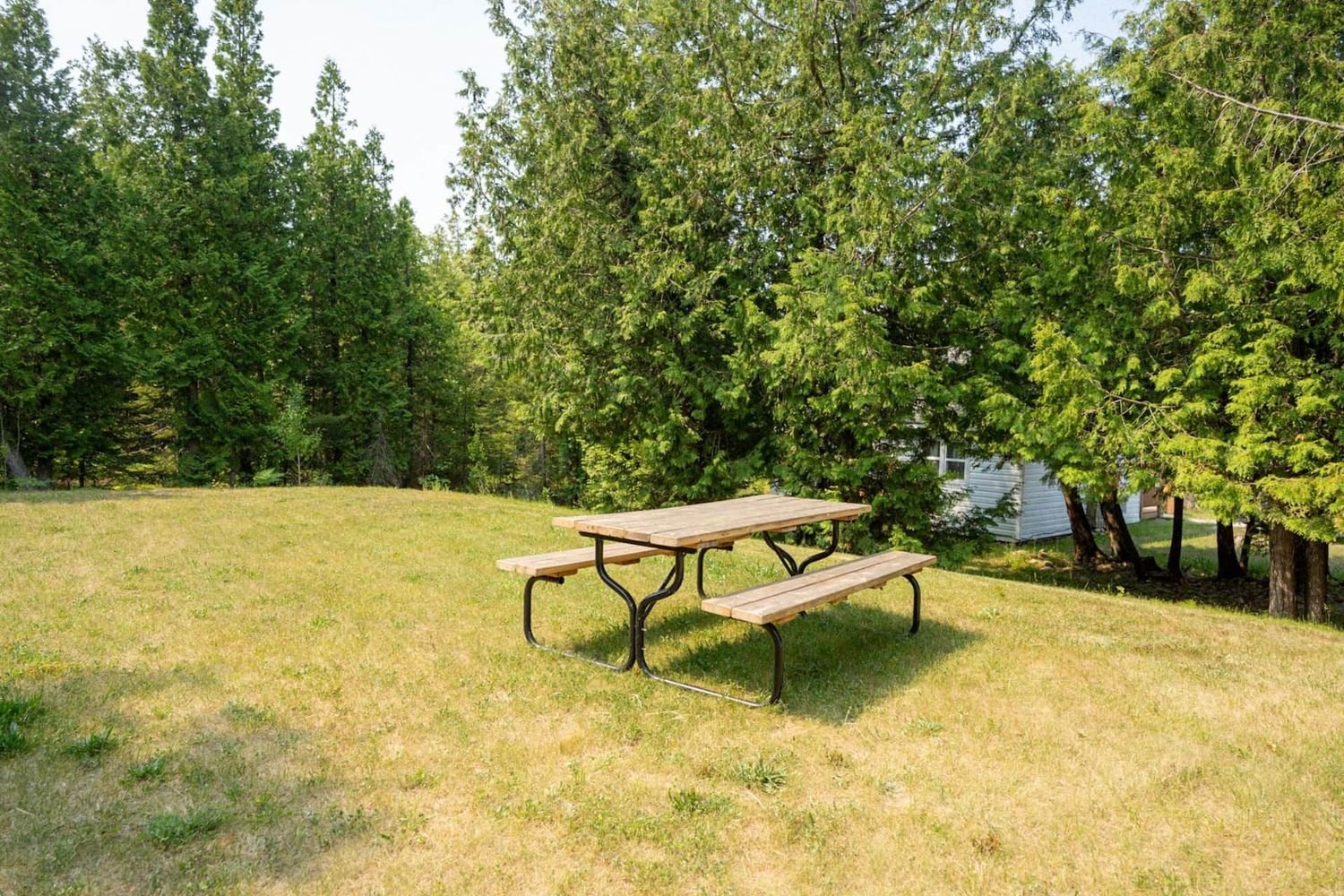 3d752612-e893-490e-8289-91d8bb6a9251-1000h