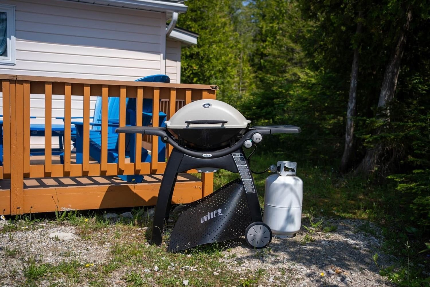 cfaf4b7f-0531-40db-b6bf-42d9f7b3303e-1000h