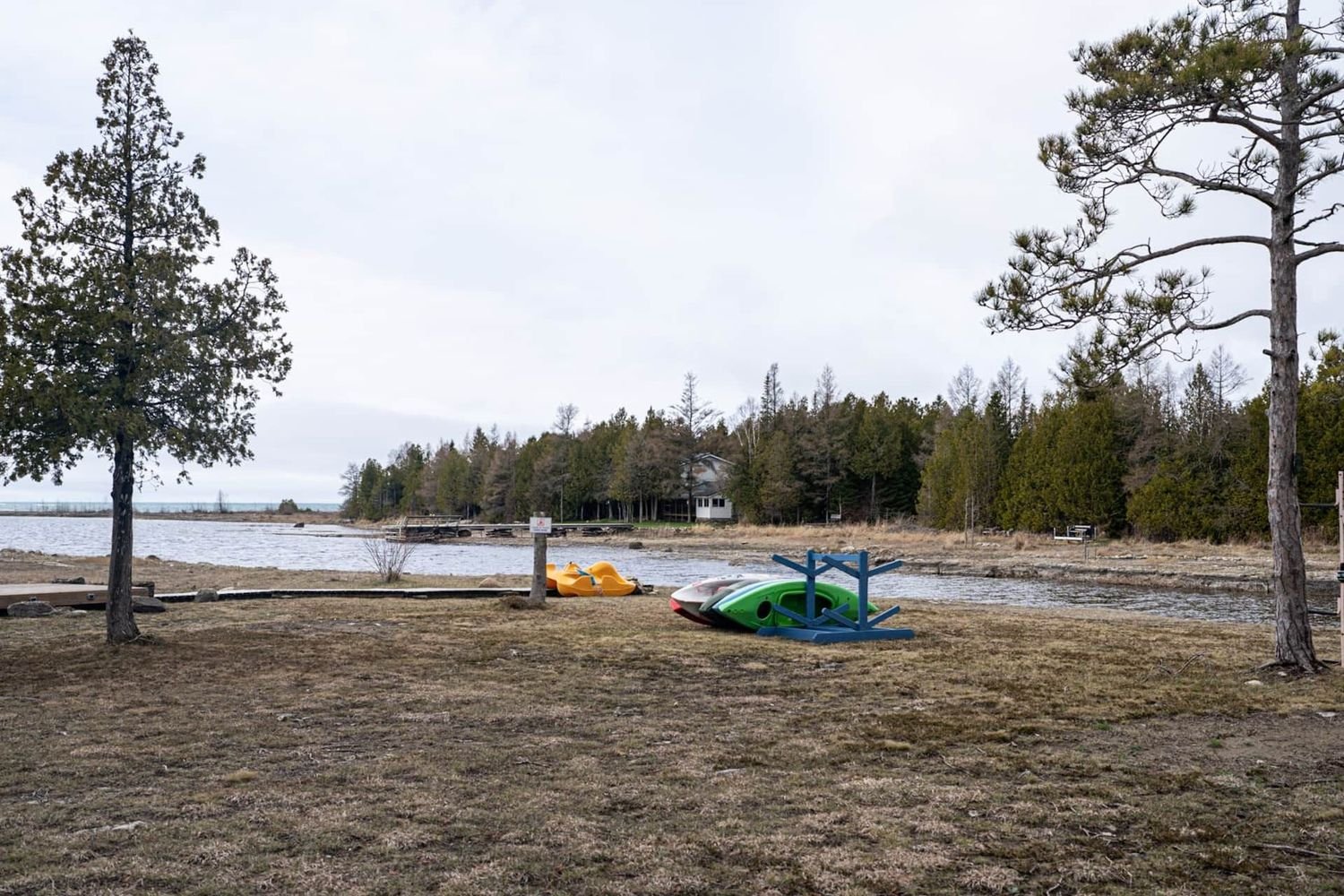 e562005b-2e72-467d-913e-af0d2c5e04ae-1000h